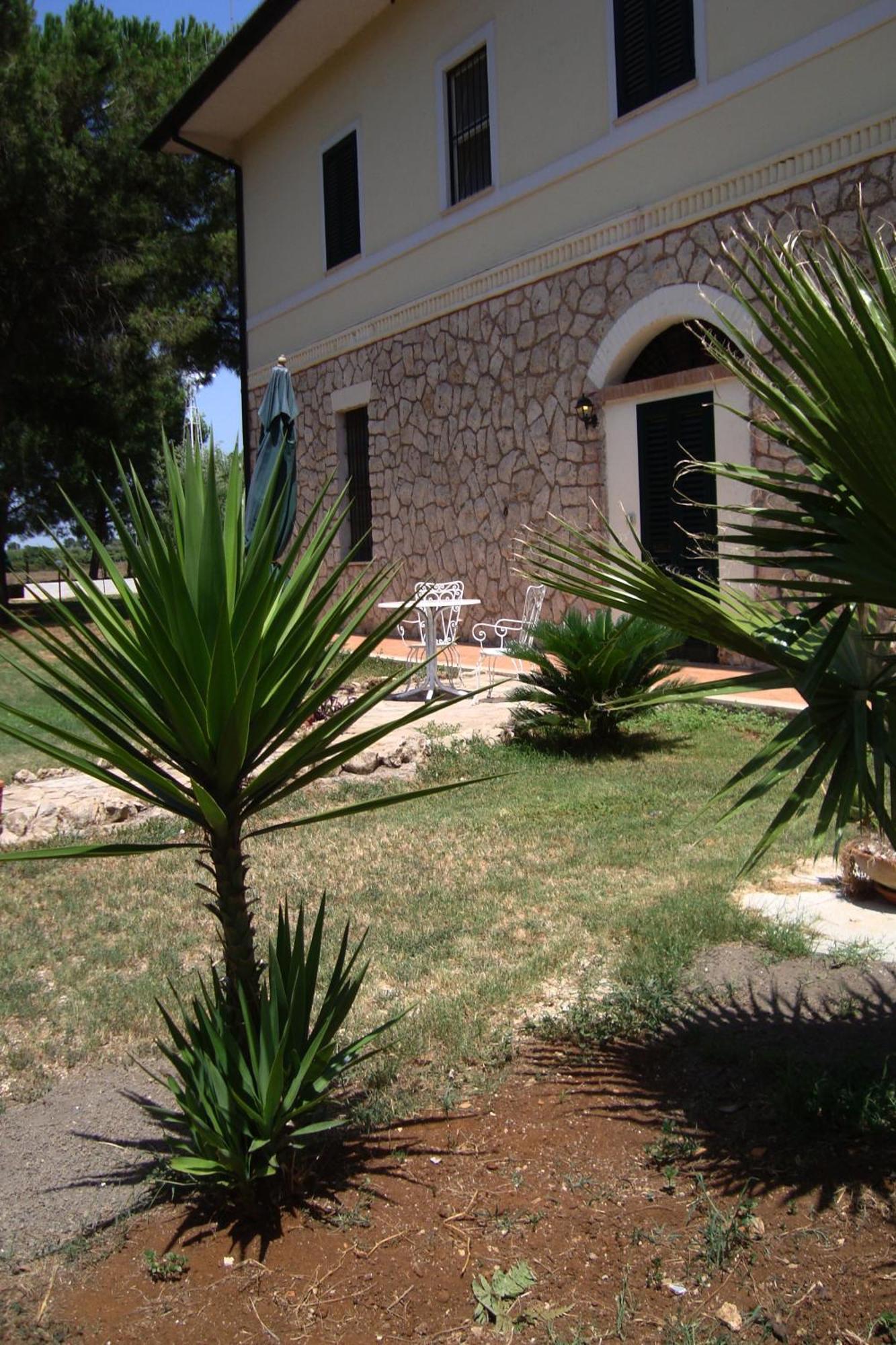 Agriturismo Ali E Radici Cisterna di Latina Zimmer foto